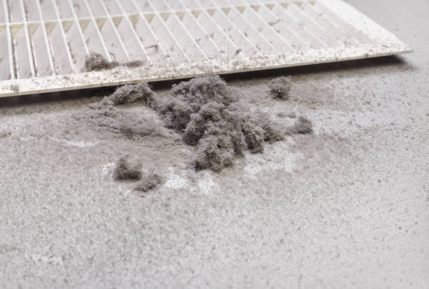 Best Ventilation Cleaning Services  in Chatsworth, IL