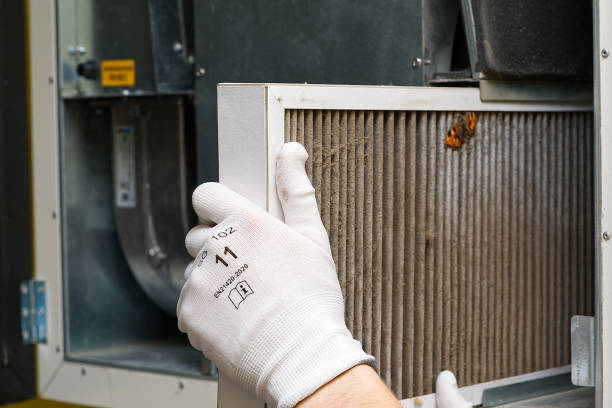 Best HVAC Duct Inspection Services  in Chatsworth, IL