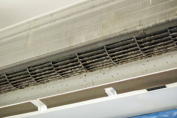 Best Air Quality Test  in Chatsworth, IL